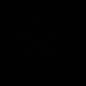 Meet your Posher, Allyah